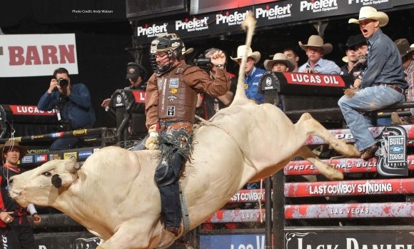 The Dangers and Training for Bull Riders